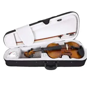 Plywood Violin With Case