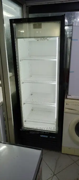 450L Frigoglass Fridge