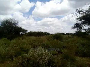 21-Acre Blocks With Title Deeds and Share Certificates
