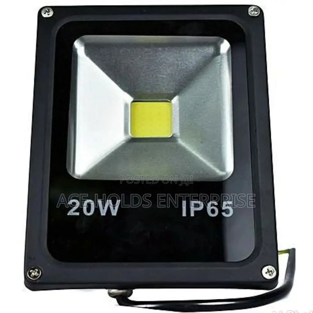 20 Watts Floodlight