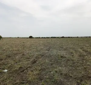 1/8 Acre Plots for Sale in Green Isinya