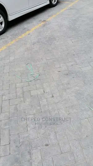 Ordinary Cabro / Paving Blocks