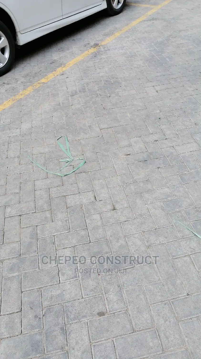 Ordinary Cabro / Paving Blocks