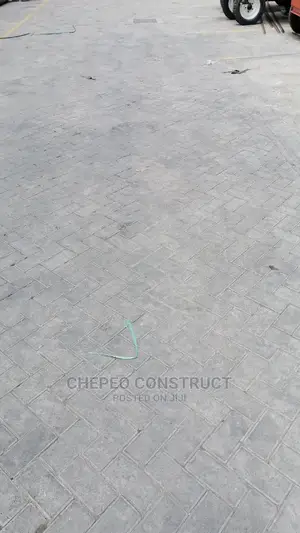 Ordinary Cabro / Paving Blocks