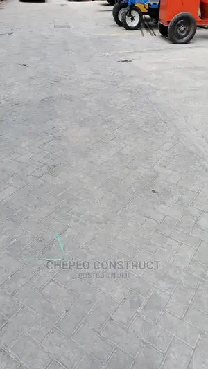 Ordinary Cabro / Paving Blocks