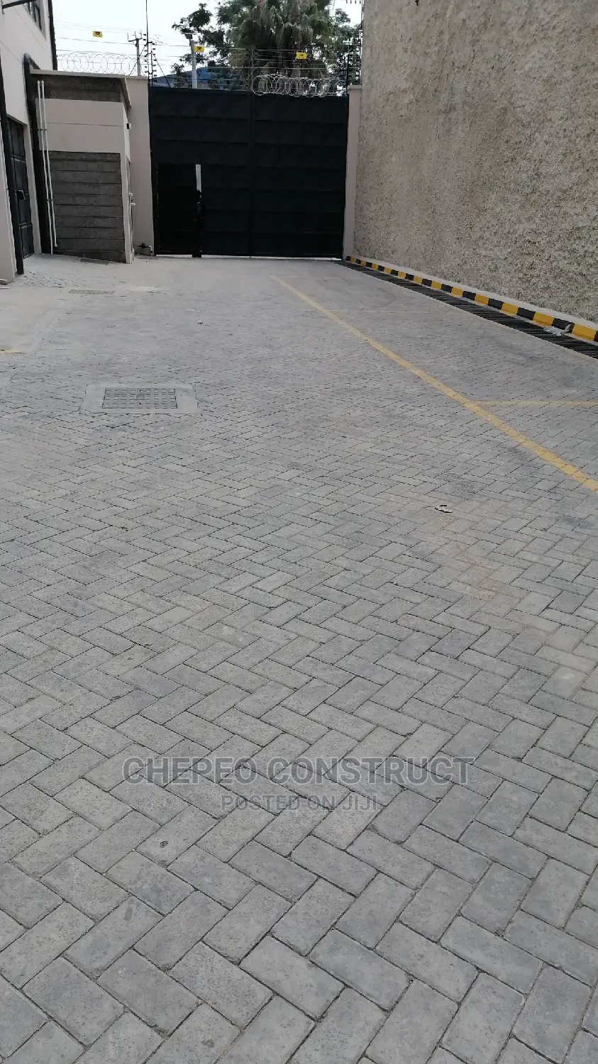Ordinary Cabro / Paving Blocks