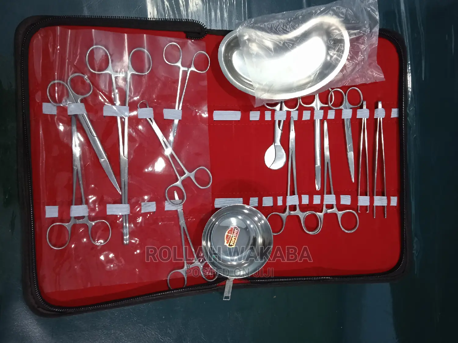 Cased Delivery Set