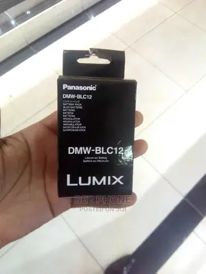 Panasonic DMW BLC12 Camera Battery