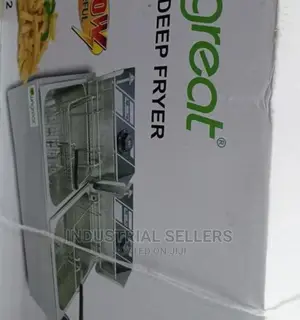 New Arrival Double Deep Fryer