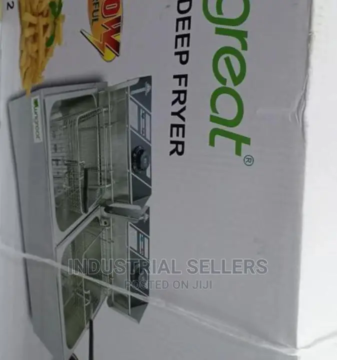 New Arrival Double Deep Fryer