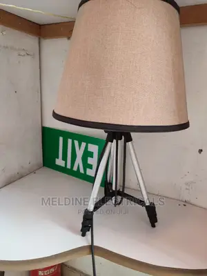 Adjustable Lamp Shade