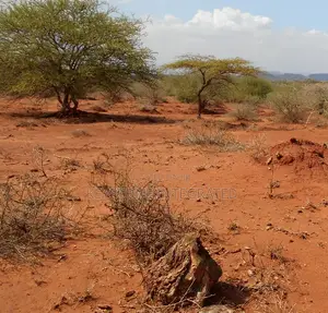 1/8 Acre Land for Sale in Saikeri,Kajiado