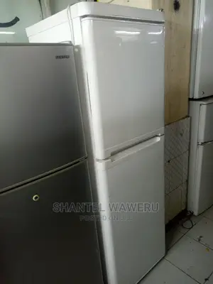 Double Door Fridge