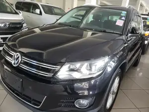 Volkswagen Tiguan 2015 Gray