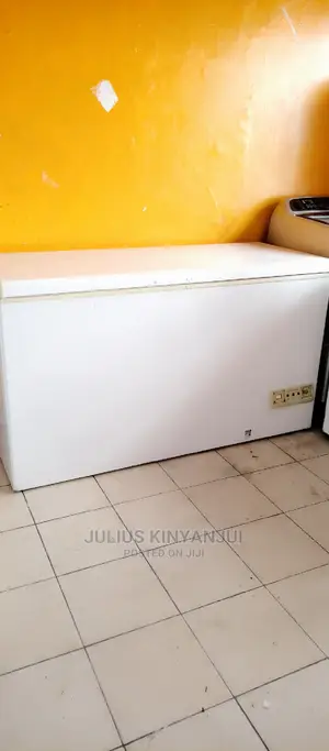Deep Freezer 500L