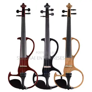 Electric Violin With Case