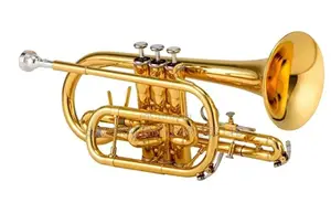 Standard Bb Cornet
