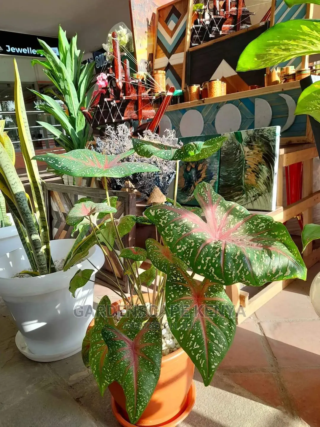 Garden Centre