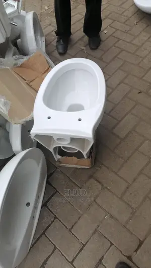 Back To Wall Toilets