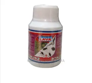 Lava For Killing Bedbugs