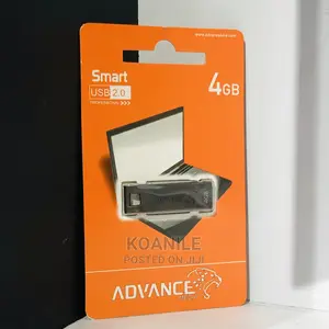 4gb Advance Flash Disk 2.0