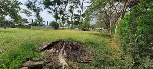 Wall Fenced Half Acre on Sale Mtwapa
