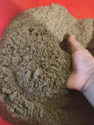 Chebe Powder in Kenya