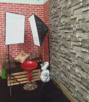 Pair of Photography Studio Lights With Stands and 8bulbs