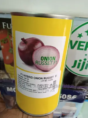 ONION RUSSET F1 Hybrid Seeds 500g