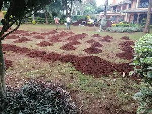 Lawn Top Dressing.