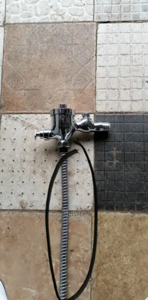 Urinal Flash Valves