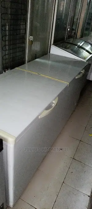 Double Door Freezer