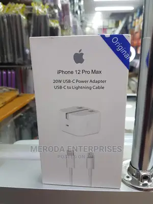 20W iPhone 12 Pro Max Charger