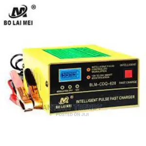 Automatic Motorcycle 12V 24V 15AMP Battery Charger for Car 1