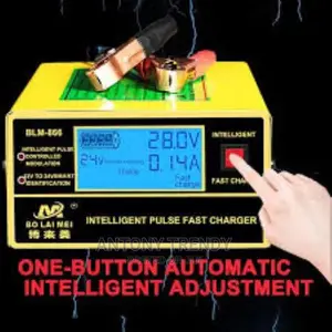 Smart Battery Charger Blm-Cdq-866