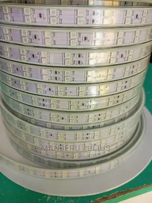 100 Meters RGB Snake Light