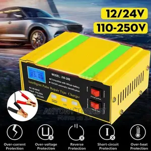 Automatically and Intelligently Car Battery Charger