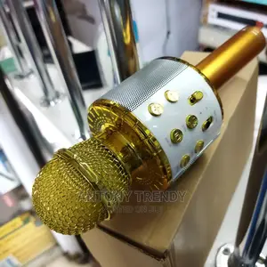 Karaoke Microphone Wireless