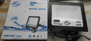 Electric Flood Light 100w