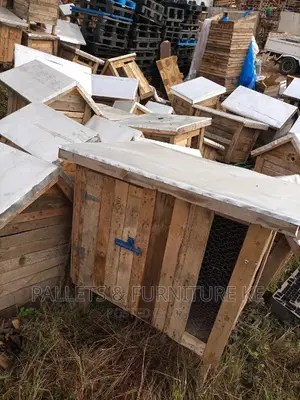 Dog Kennels