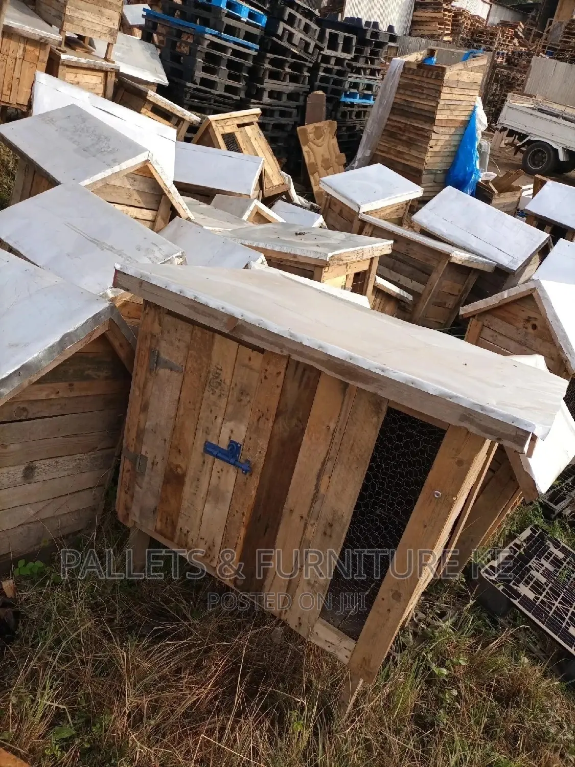 Spacious Dog House