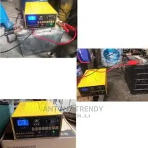Just One Lead Acid Battery Chargerbt-168