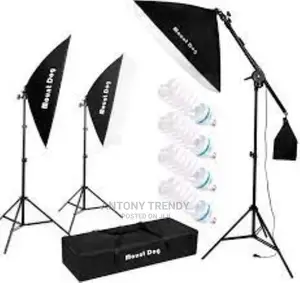 Softbox Lighting Kit Photography Studio Light 2x50x70cm Prof