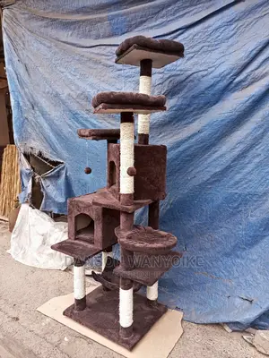 Cat Tree for Sale