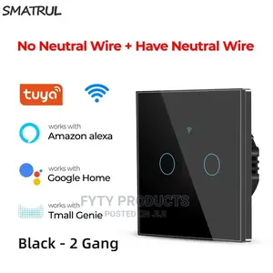 Wifi Smart Switch 2 Gang