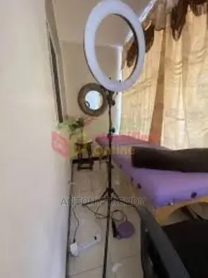 18" Selfie Ring Light With Tripod Stand, 30 Dimmable Led Bea