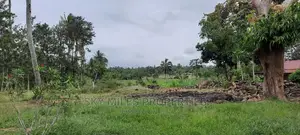 A Parcel of 6 Acres at Bomani on Sale
