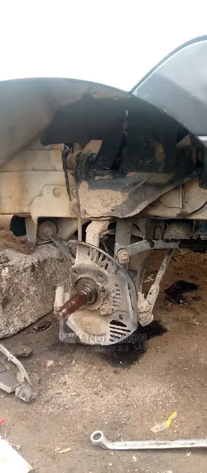 Professional Mechanic