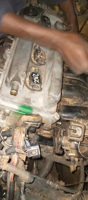 Professional Mechanic