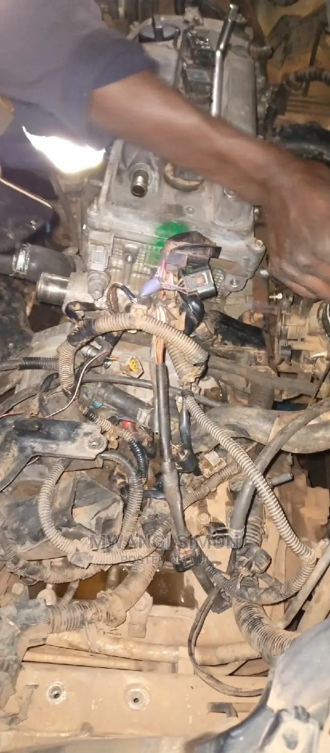 Professional Mechanic